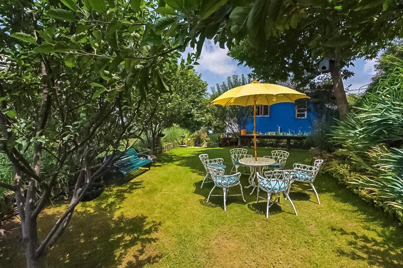 Stayvista At Violet Hill With Bonfire, Gazebo & Hill View Σίμλα Εξωτερικό φωτογραφία