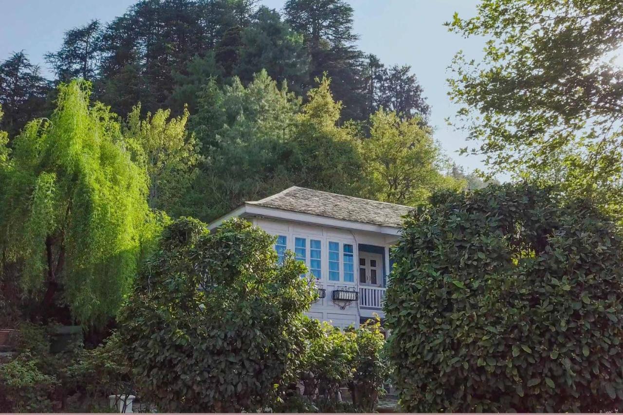 Stayvista At Violet Hill With Bonfire, Gazebo & Hill View Σίμλα Εξωτερικό φωτογραφία